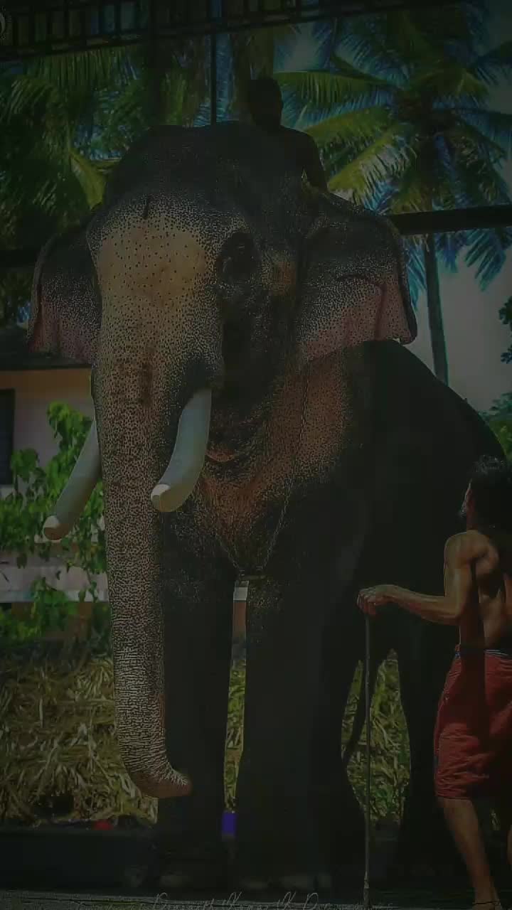 @Ranjith Mohandas