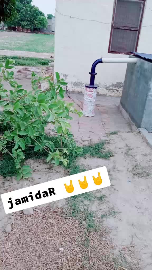 @jind aala jaat  👑
