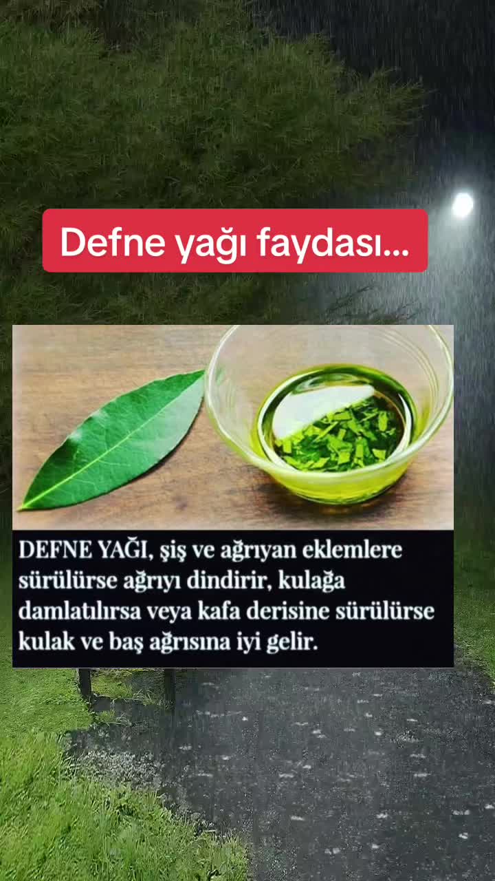 @bir_incitanesi