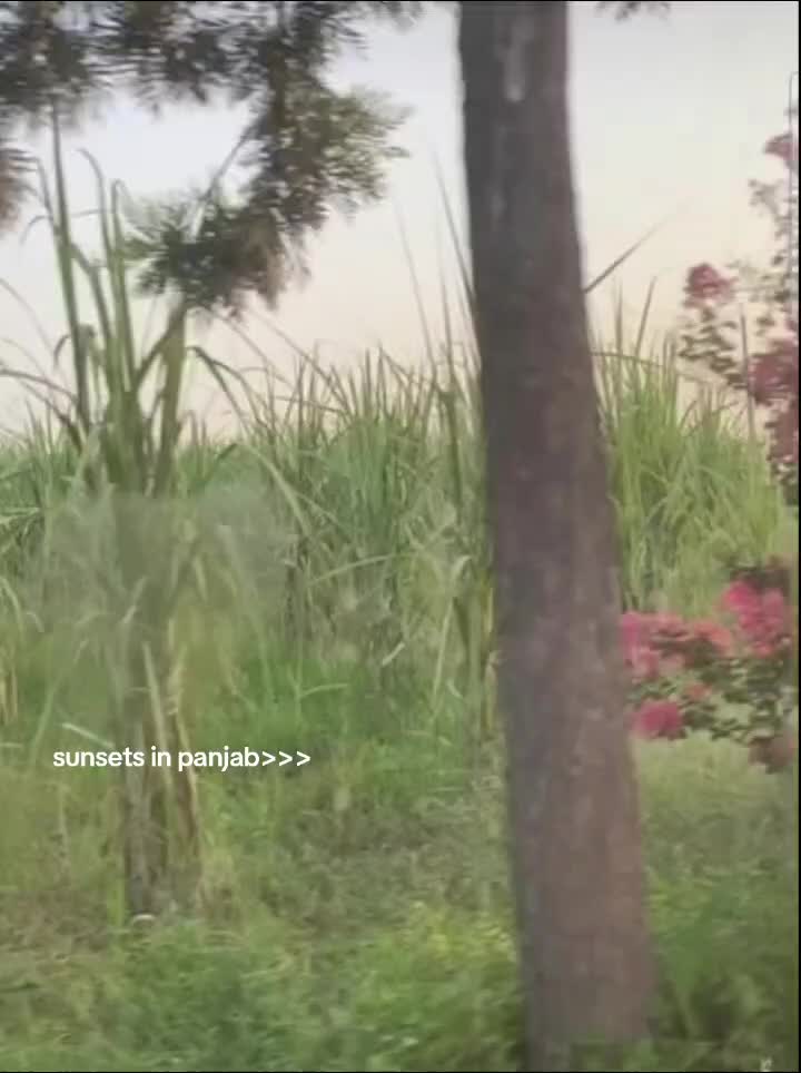 @ਅਮਰਰੂਪ