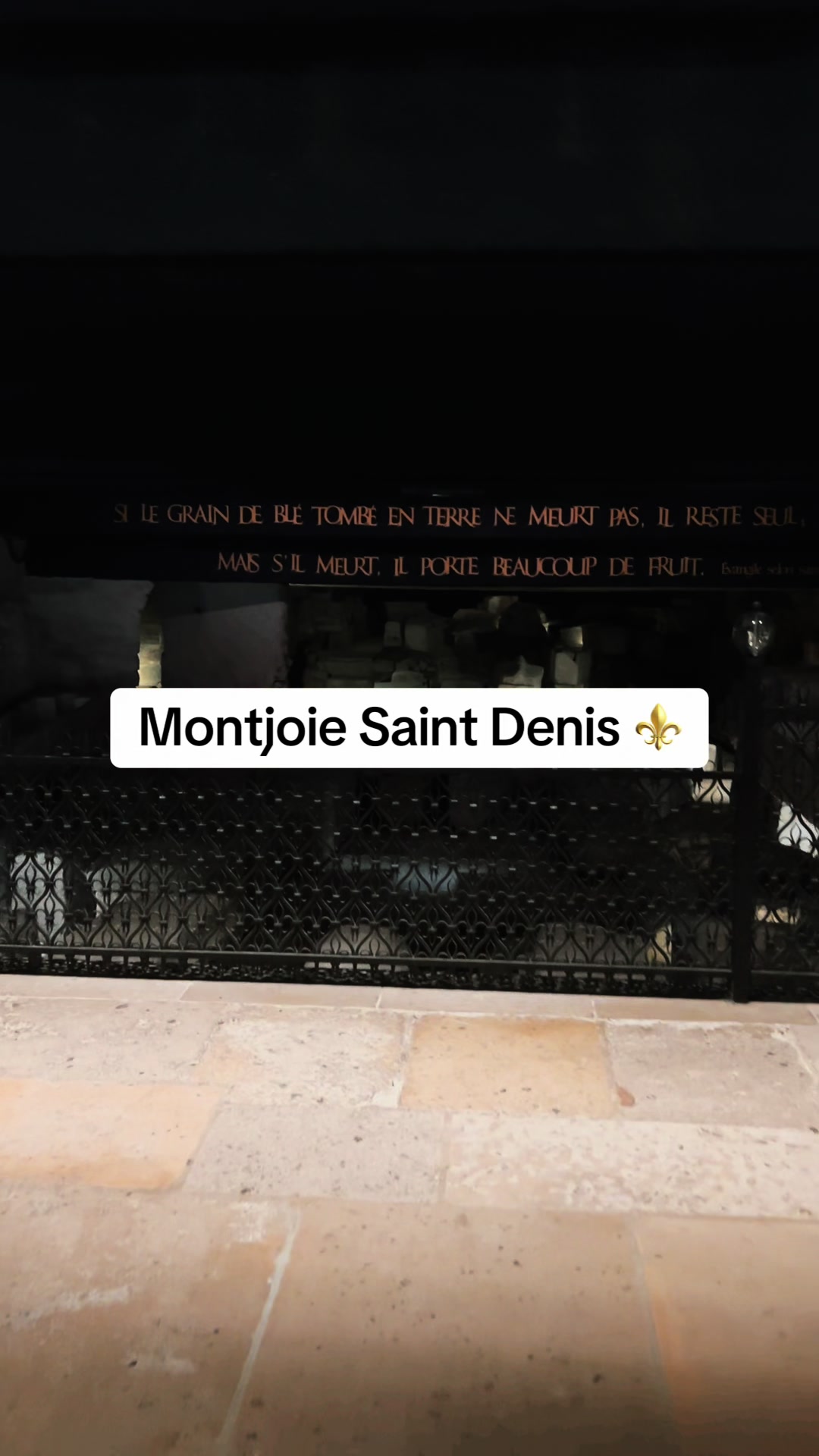 @Taco✝️⚜️🇻🇦