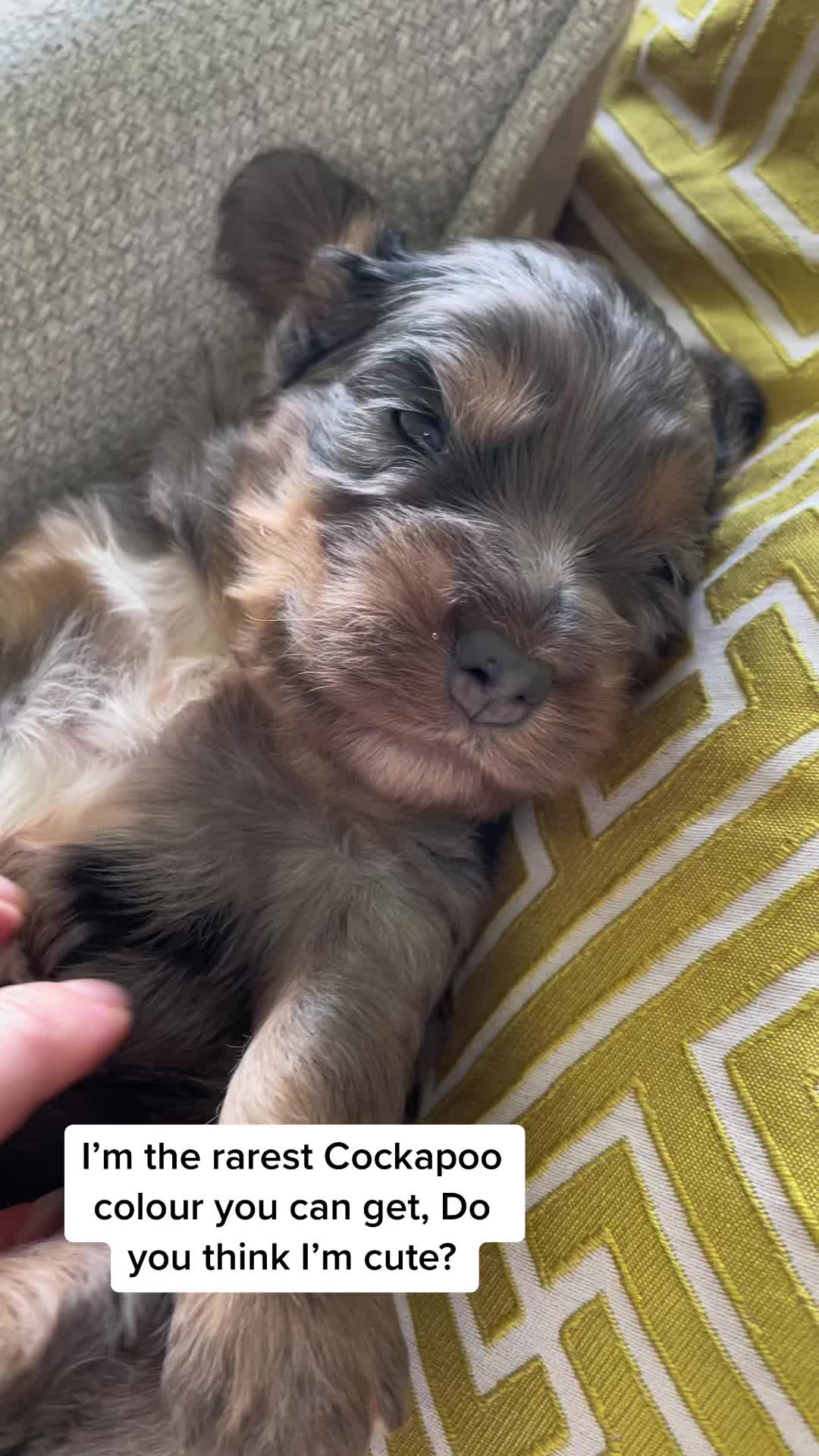 @Our furry babies