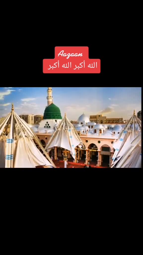 @Dr Sana 4696