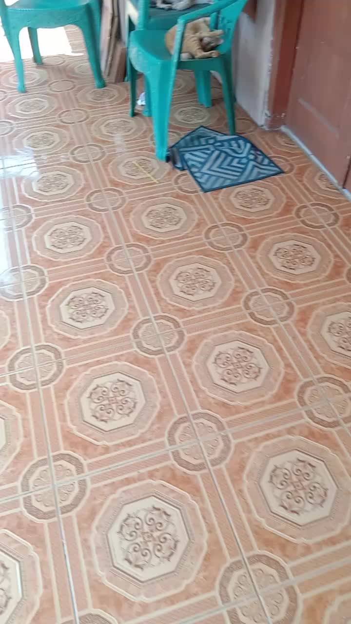 @user36744572072