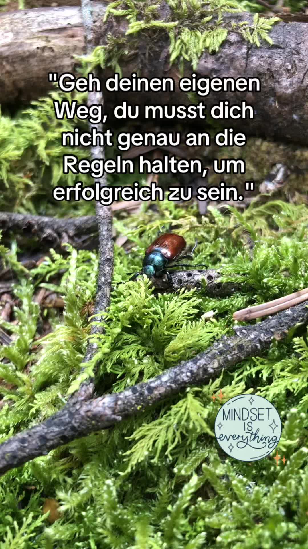 @_pflanzen_magie_