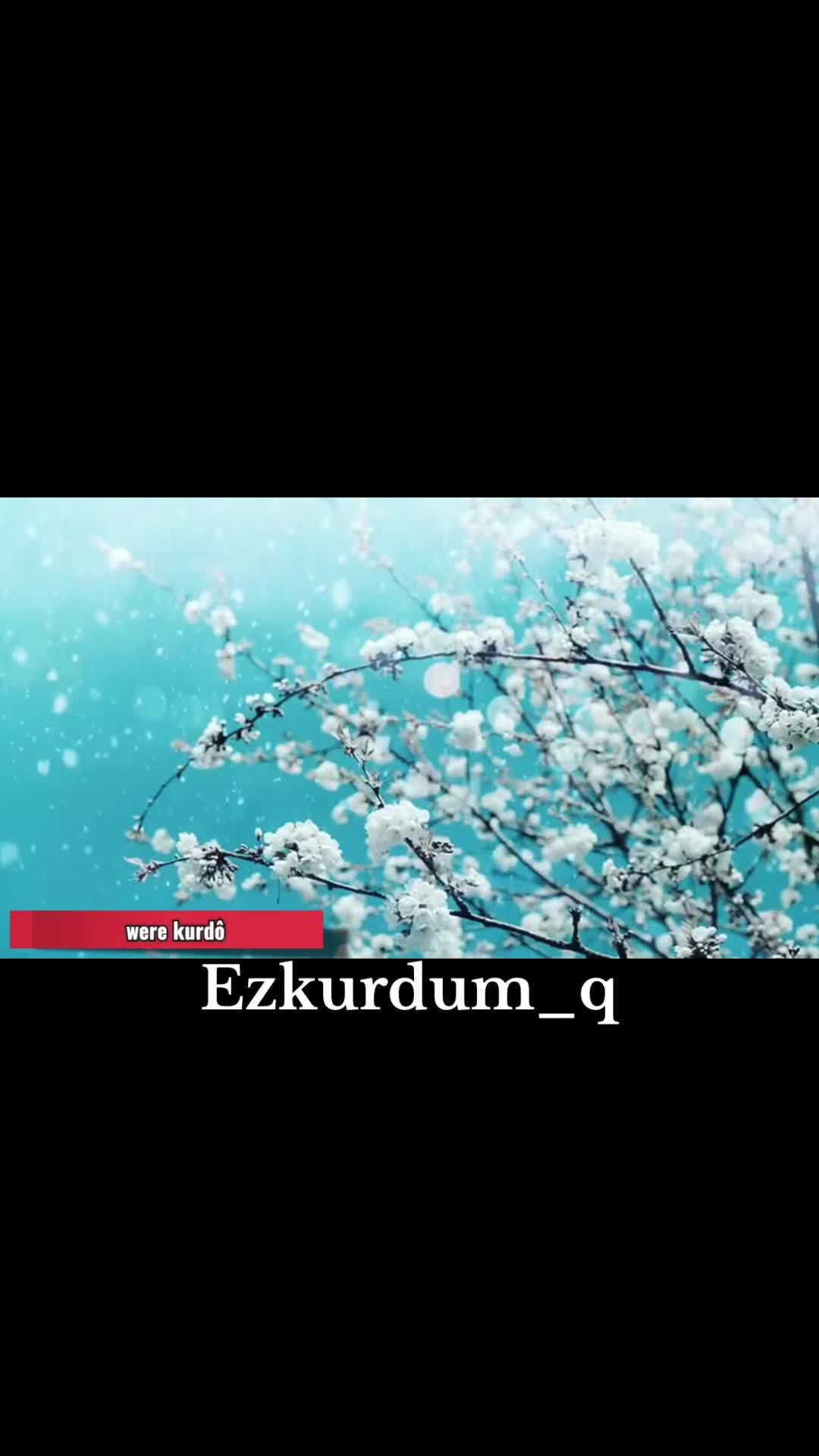 @ezkurdum