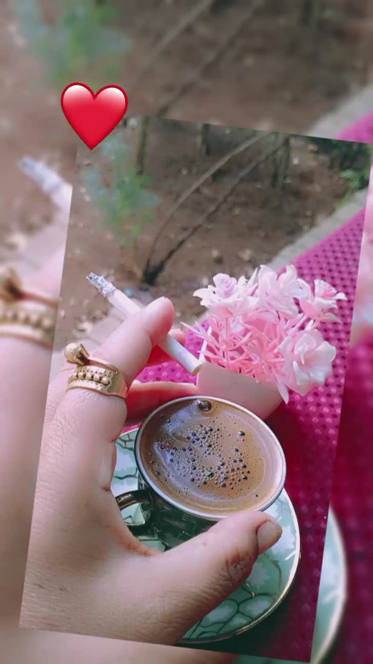 @حلا بنت عفرين