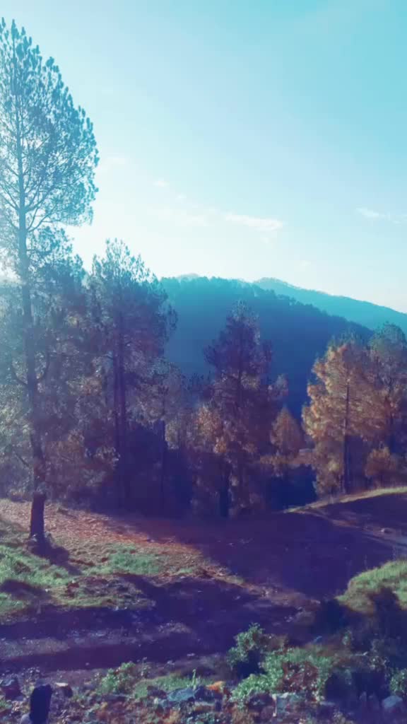 @Mukesh Rock