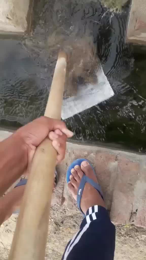 @ਅਮਨਦੀਪ ਸਿੱਧੂ