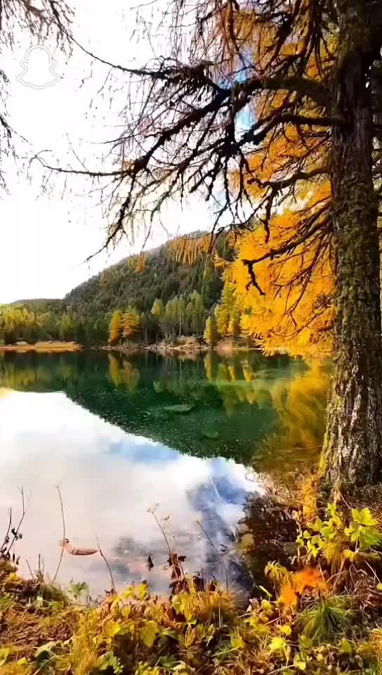 @nooragha