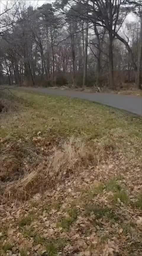 @LuckyCrazyPrincessOfWinter📺🐶