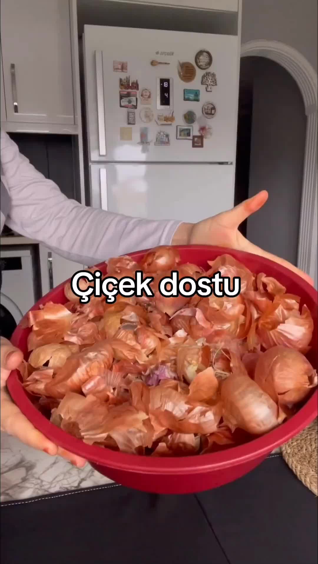 @💧&Ccedil;i&ccedil;ek dostu 🇹🇷💧