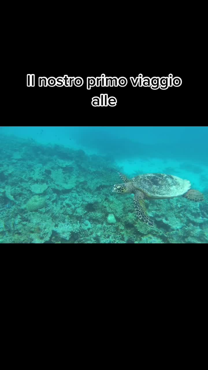 @Arianna Spada
