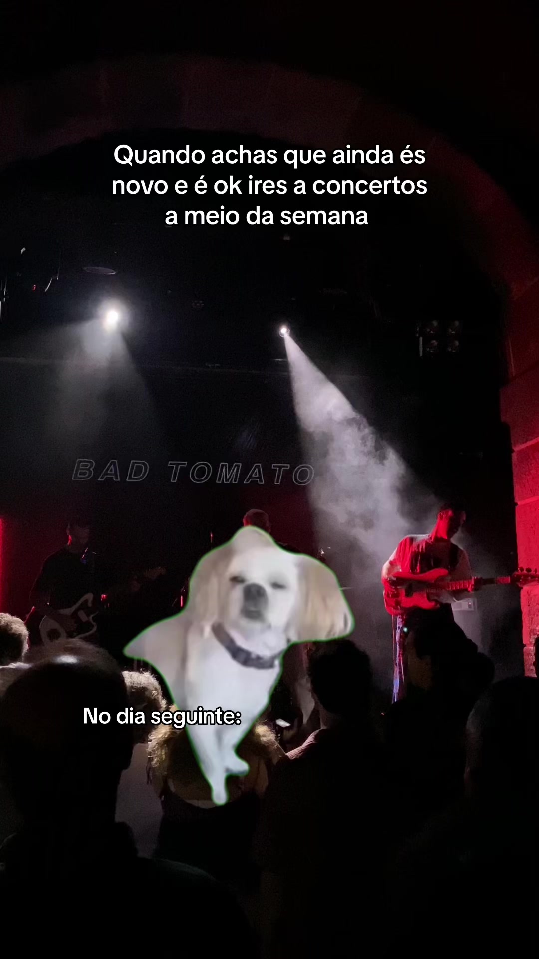 @No Tom Errado