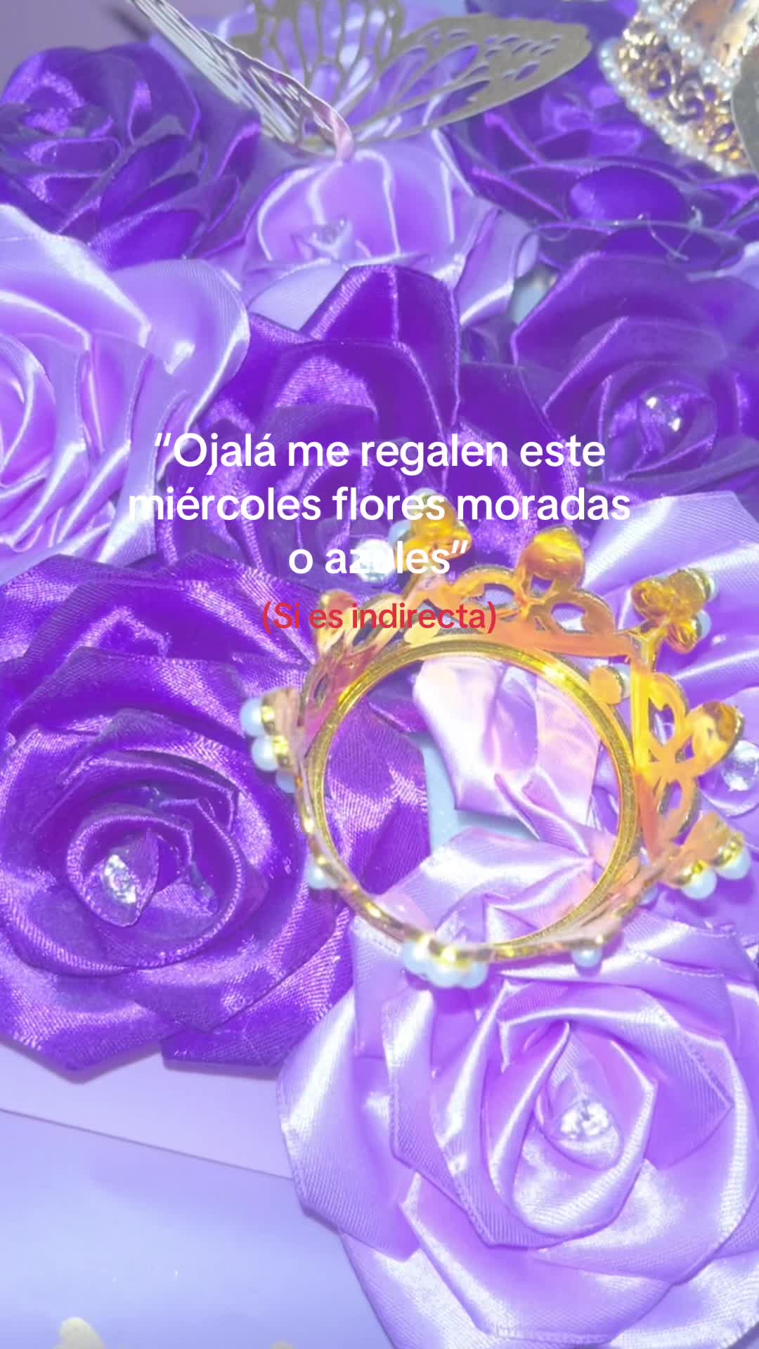 @Frida.ayala