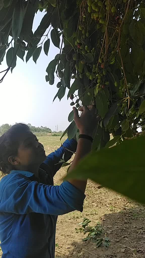 @Anu rani
