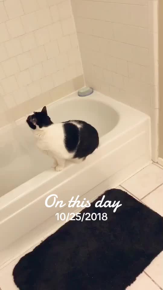 @LEO & BIFFINS
