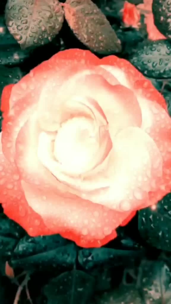 @@userkrishna03212685