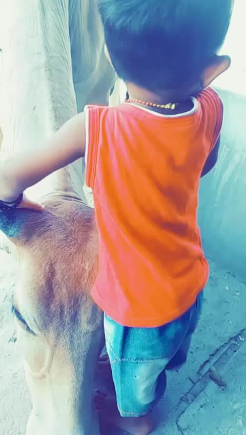@Team  ⚡rajsthan pali