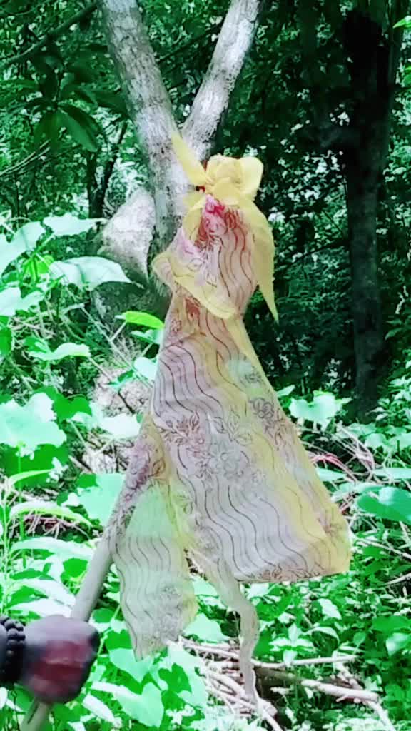 @sandeep kozhuvalloor