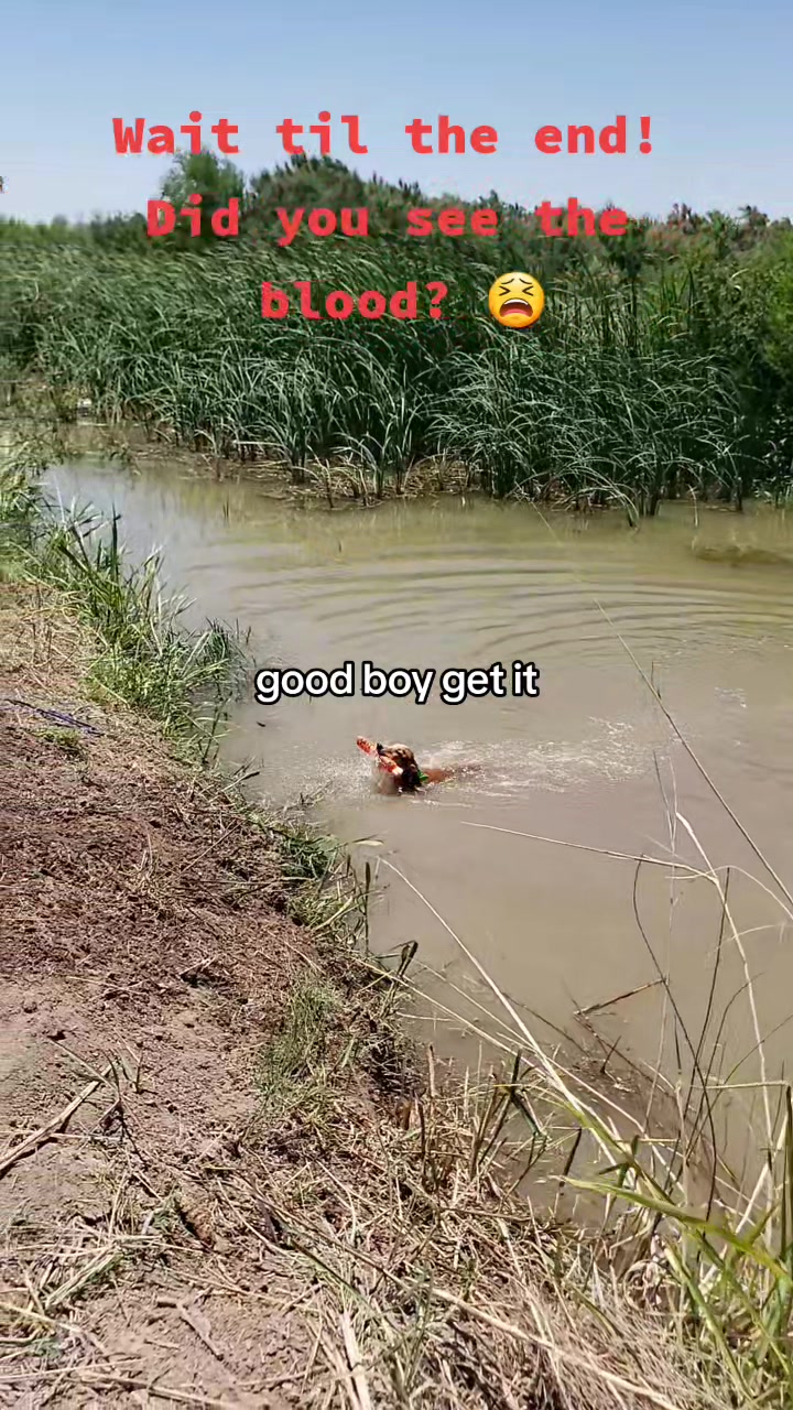 @HBGD