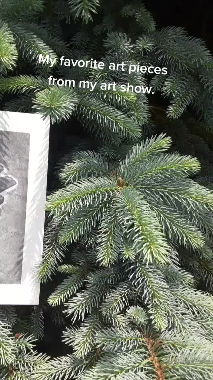 @Animorama