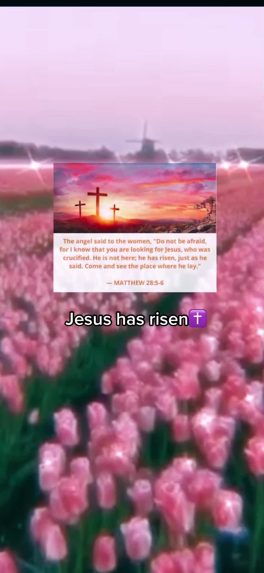 @God is Amazing🤍