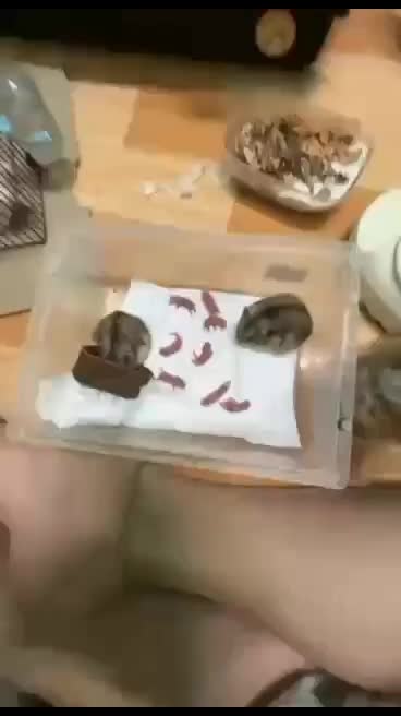 @๐ท๐ฐ๐ผ๐
๐
๐ด๐
