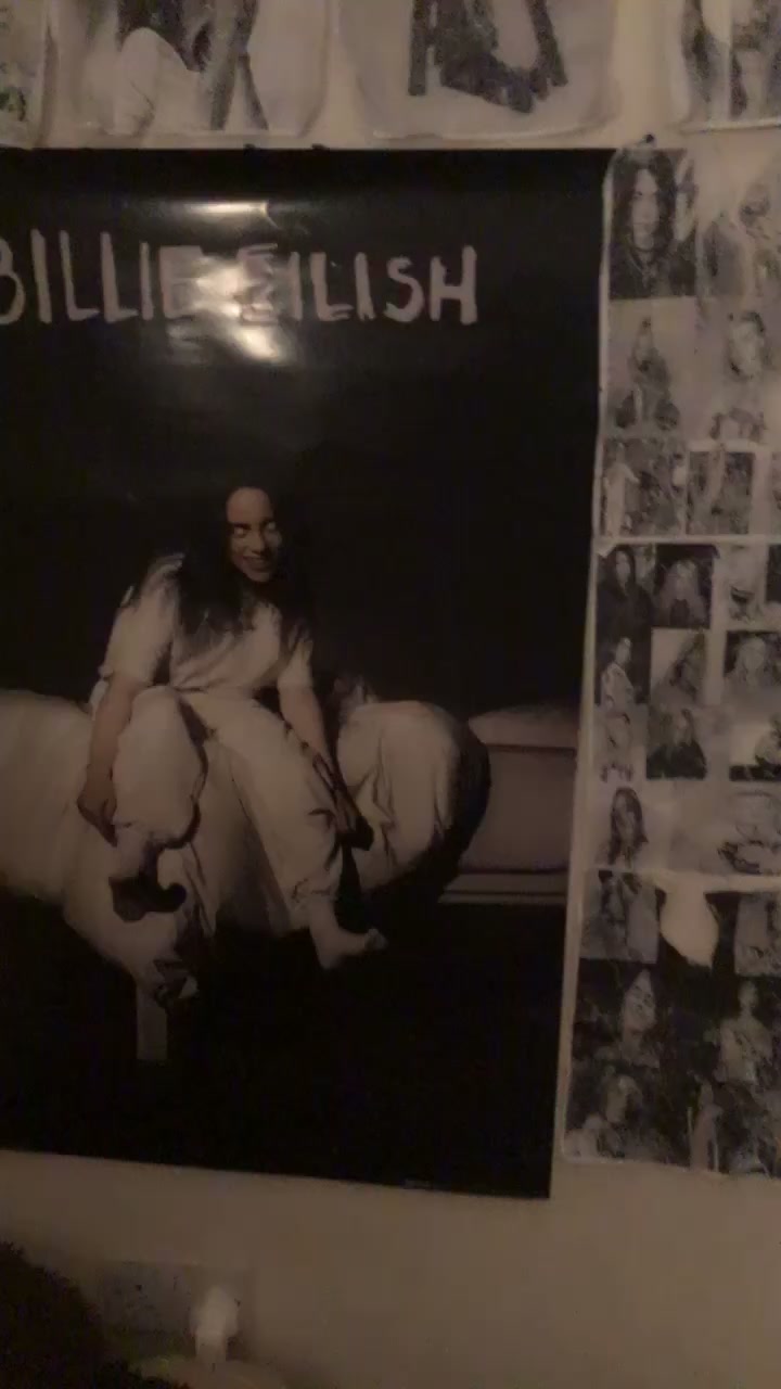 @Billie Eilish fan🖤