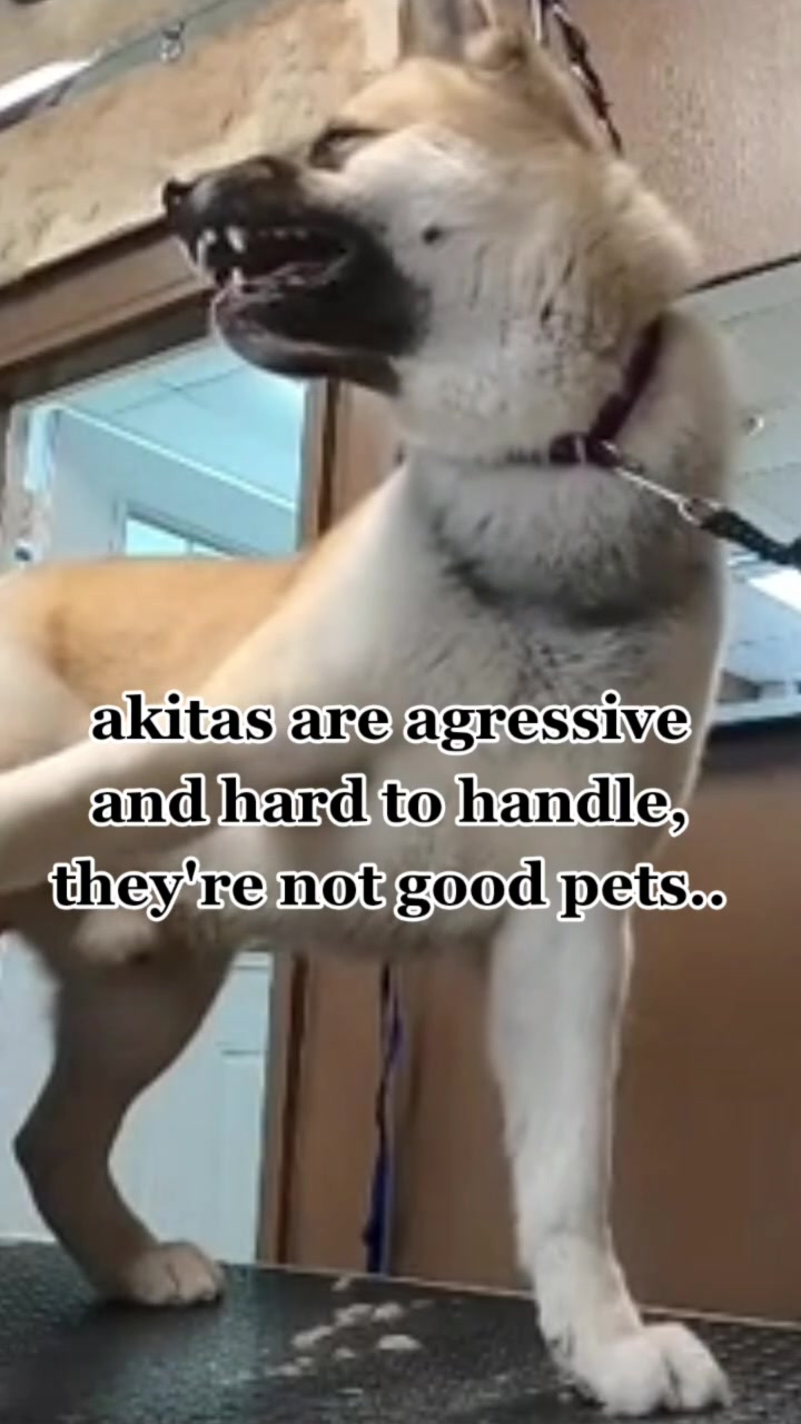 @AyoItsLi.cos