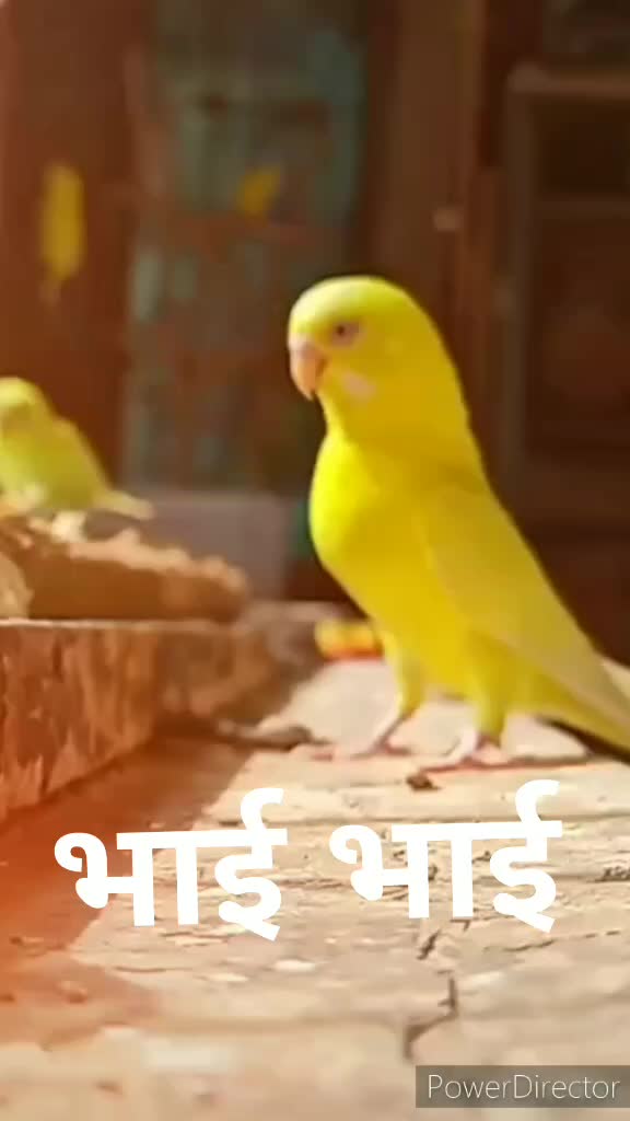 @HR 20 WALA BAAZ 🦅