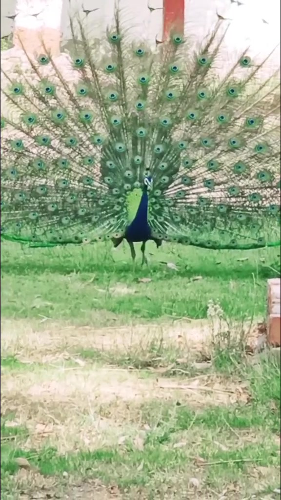 @ସନ୍ତୋଷ