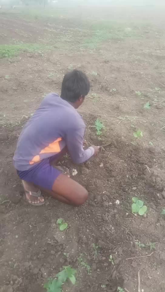 @Allu Eshwar