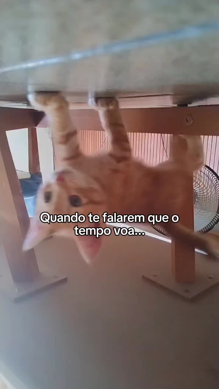 @EuEvelly