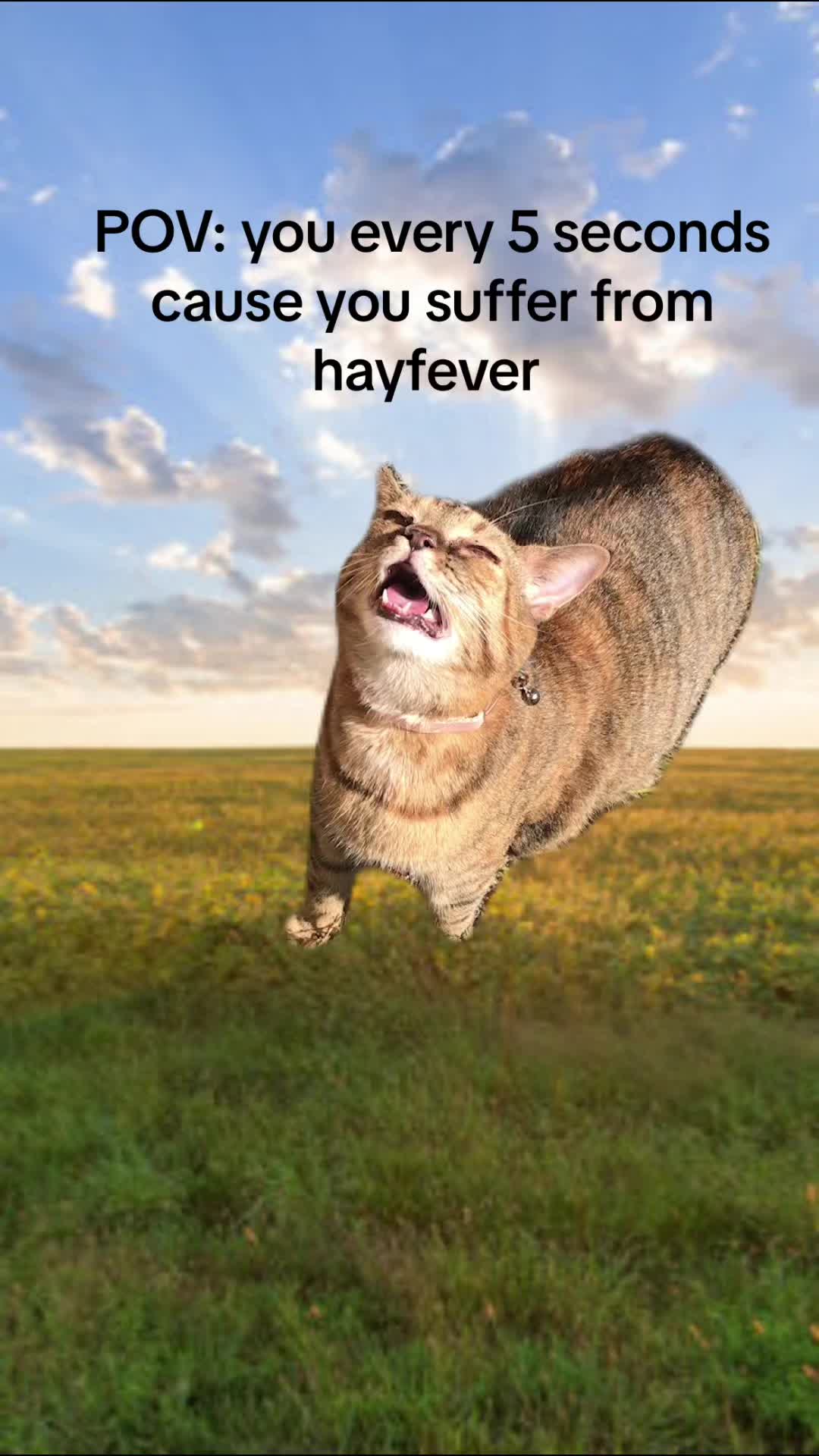 @Jake