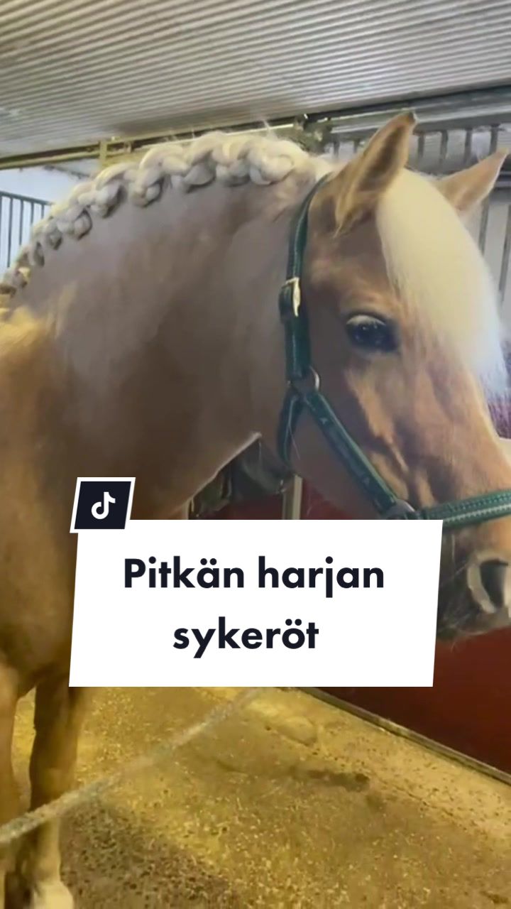 @kumpum&auml;en ratsastajat