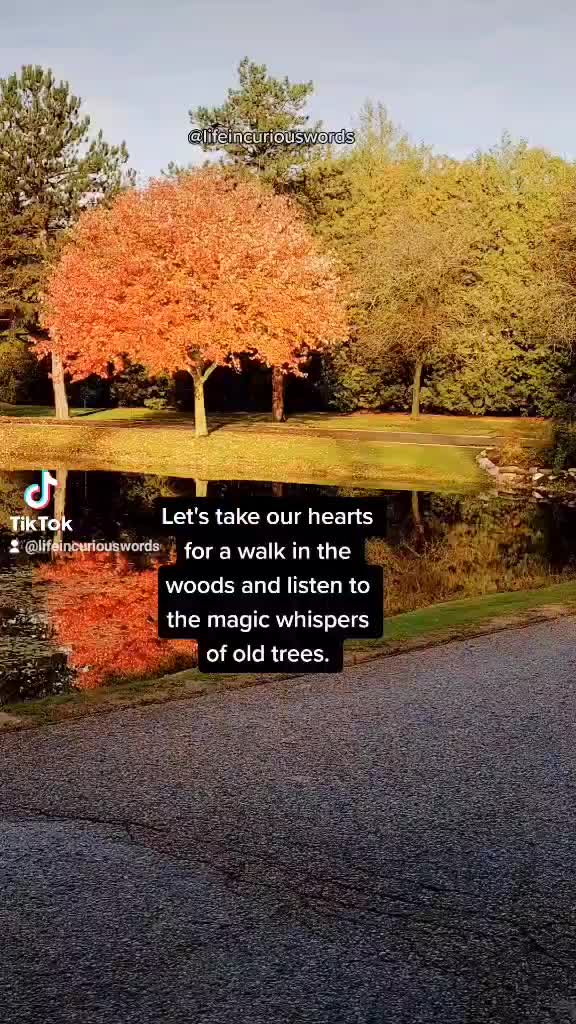 @💐 Life In Curious Words