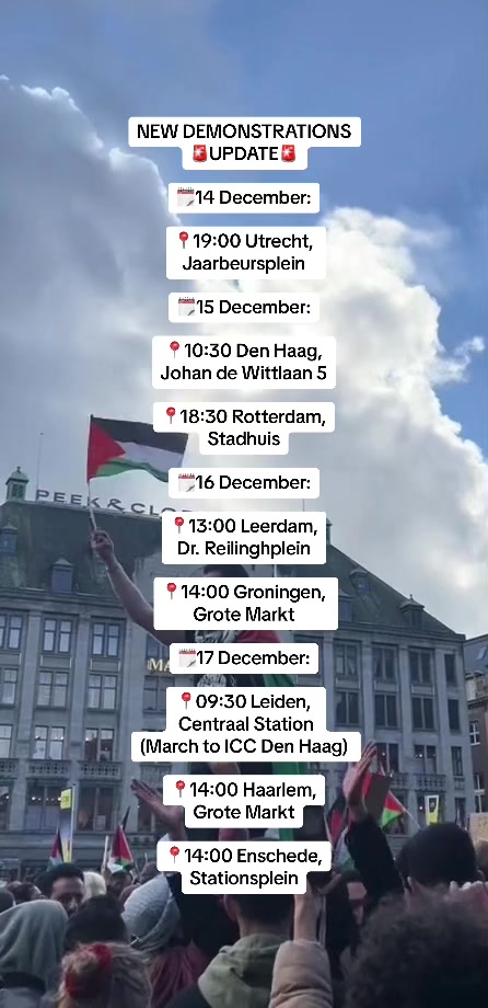 @Gokkie For Palestine