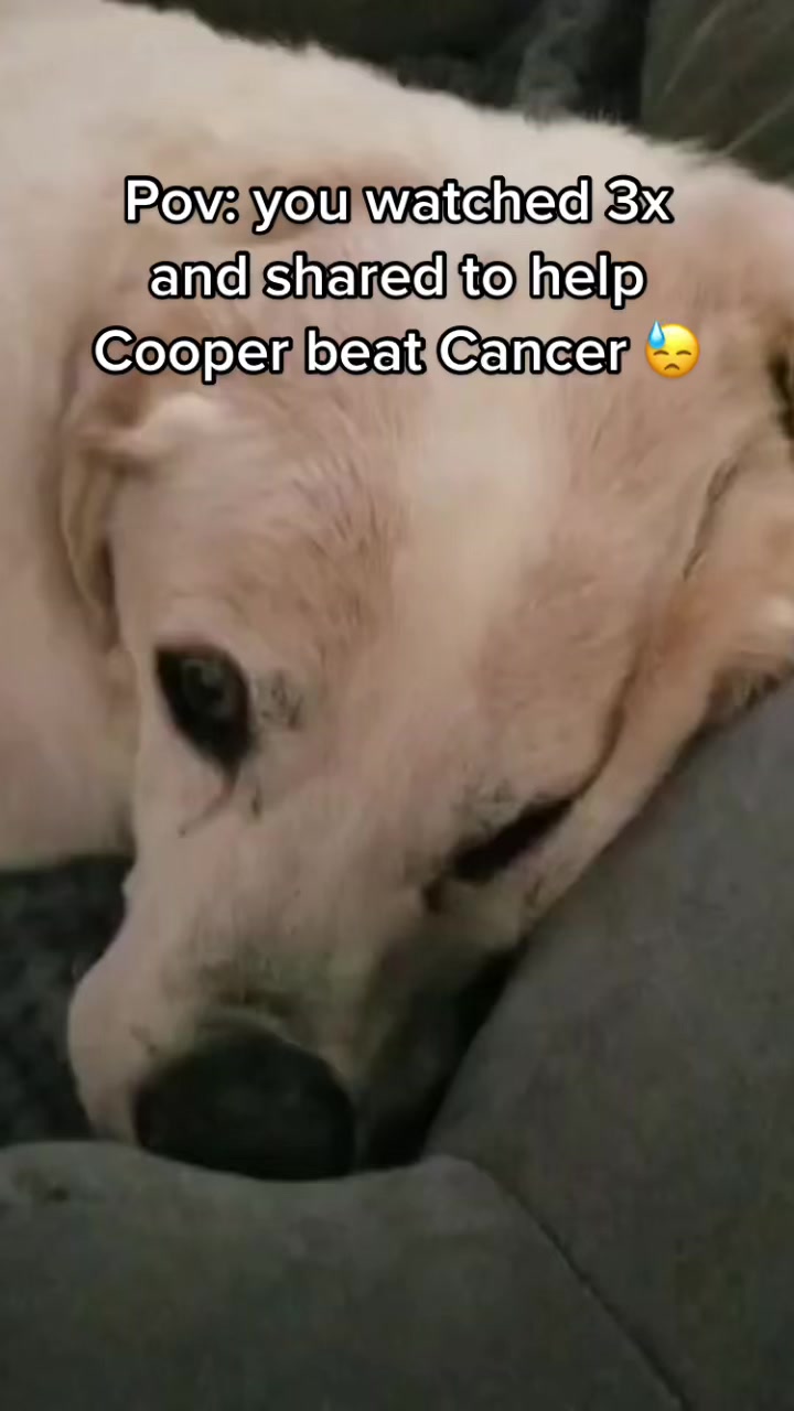 @PrayForCooper