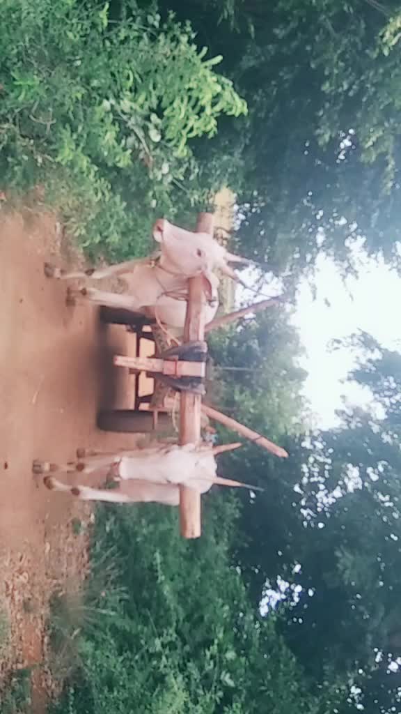 @ಗೌಡ್ರು ಹುಡುಗ ಉದಯ್
