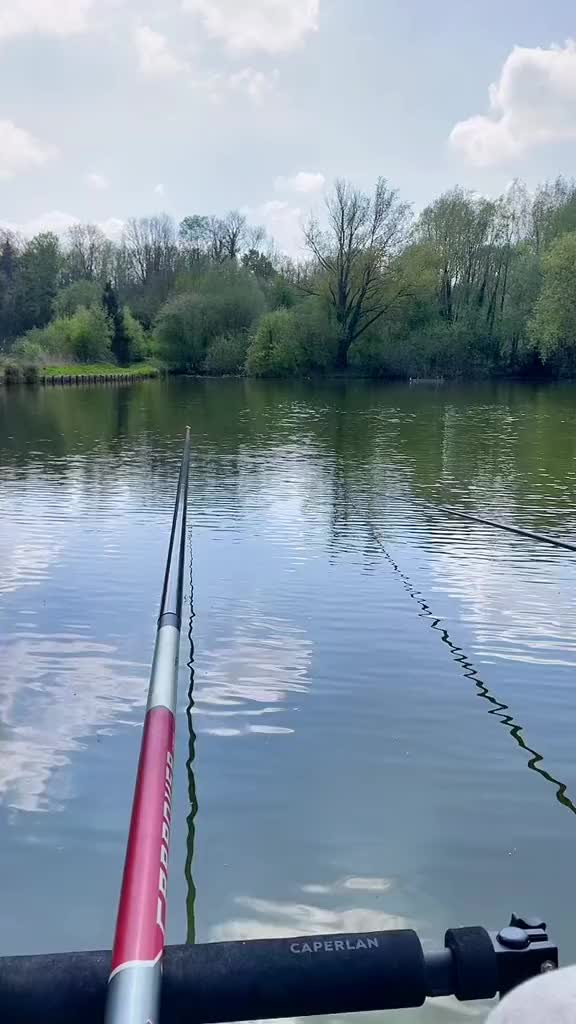 @Carpefishing80