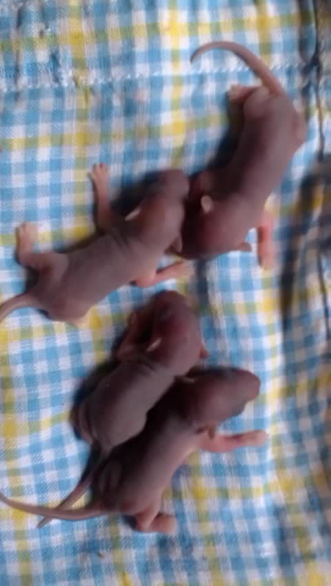 @❤️Athi &Anu❤️