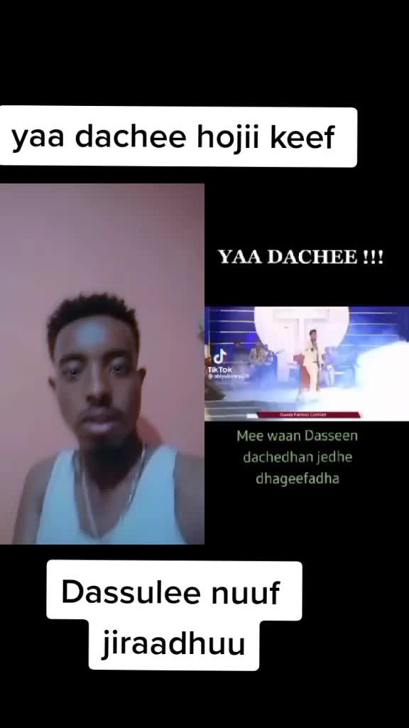 @Tariku Fekeda