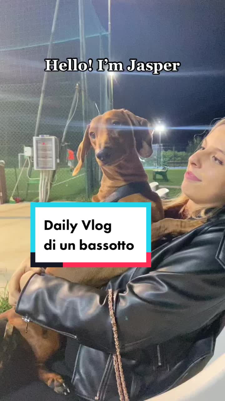 @Il bassotto ๐ฎ๐น๐บ๐ธ | Jasper