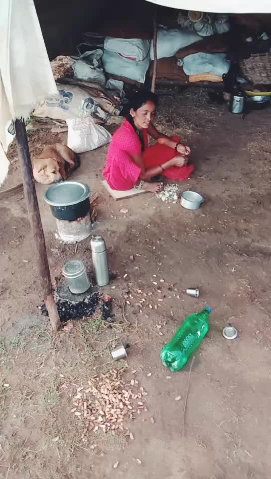 @user9832263727464