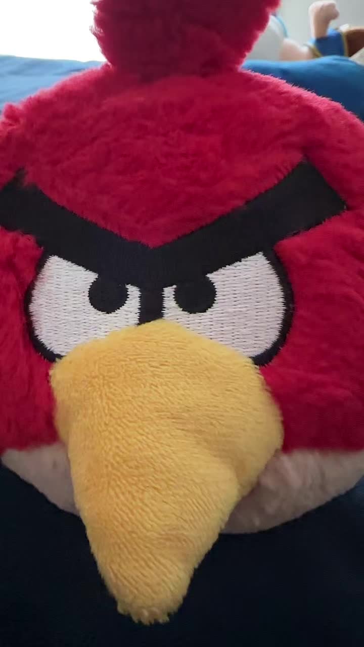 @Pig