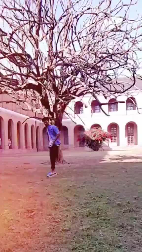 @kamlesh_t_rex 🔥