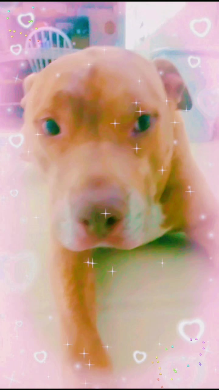 @Jei_W ๐งก๐๐ค๐งโ๏ธ๐ซ