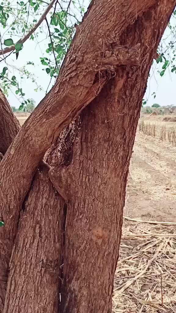 @Dipak Nikam