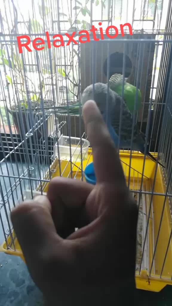 @thiefkiller_ 78